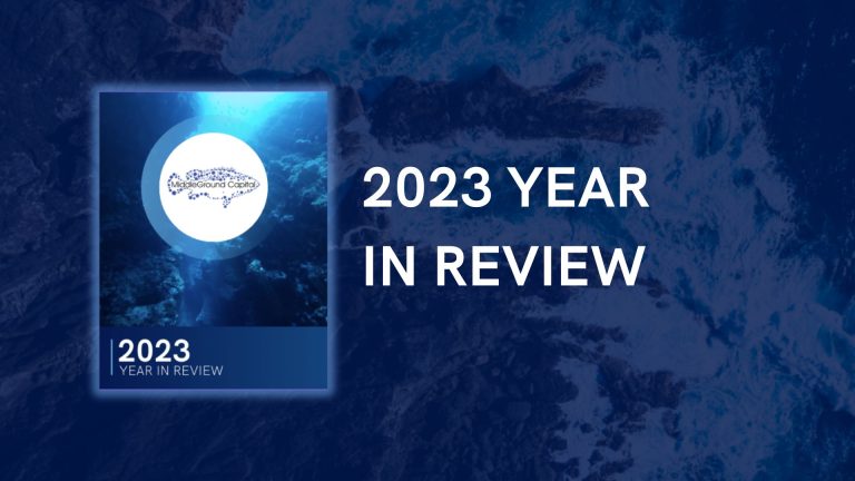2023 Year in Review